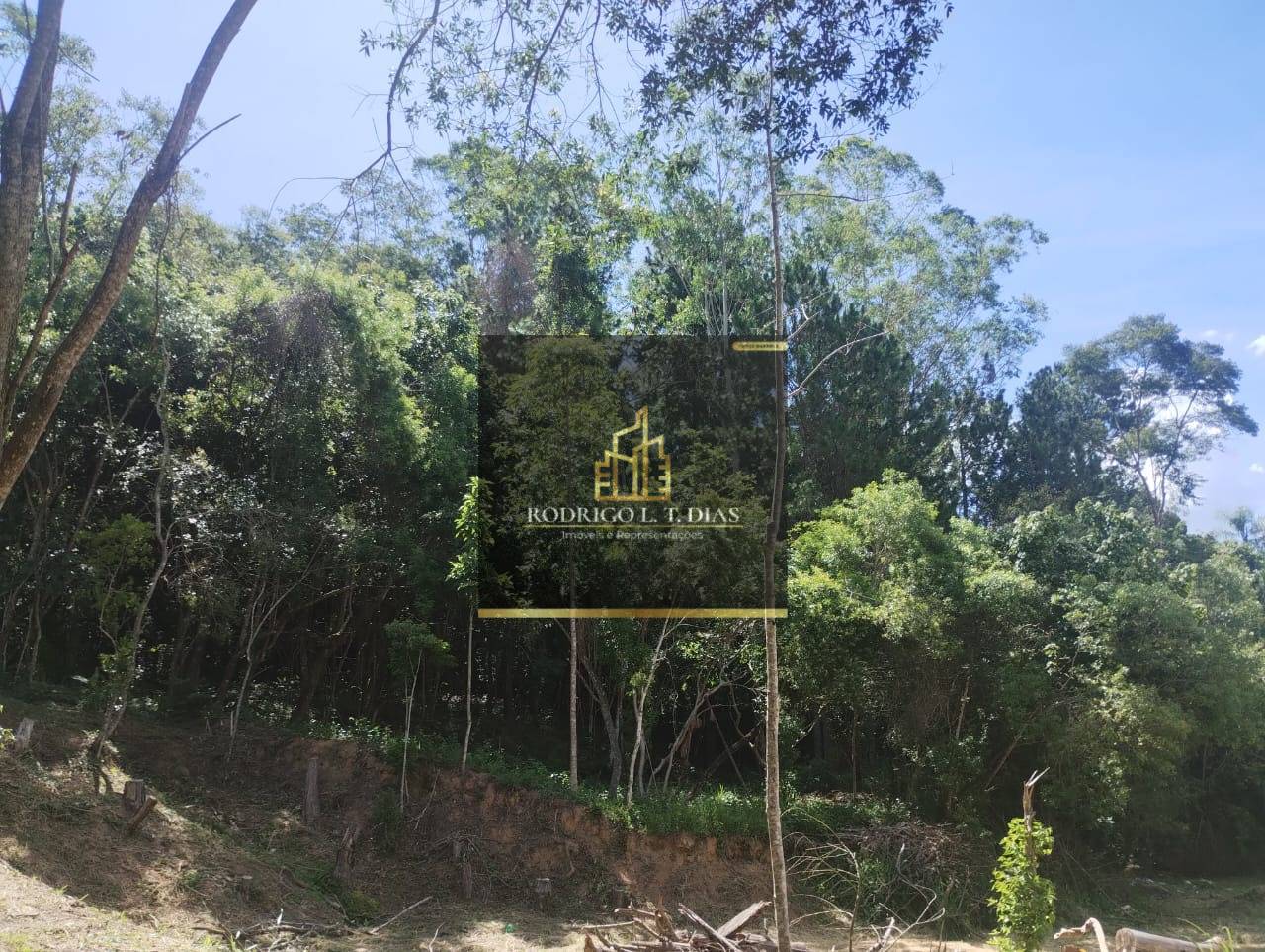 Terreno, 10000 m² - Foto 4