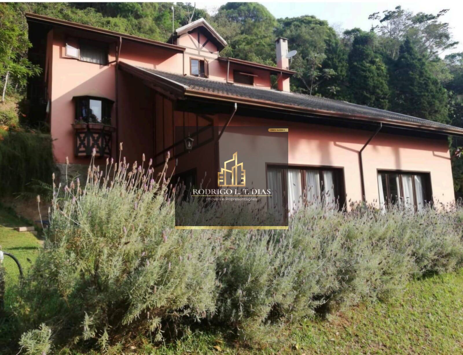 Sítio, 3 quartos, 5000 m² - Foto 2