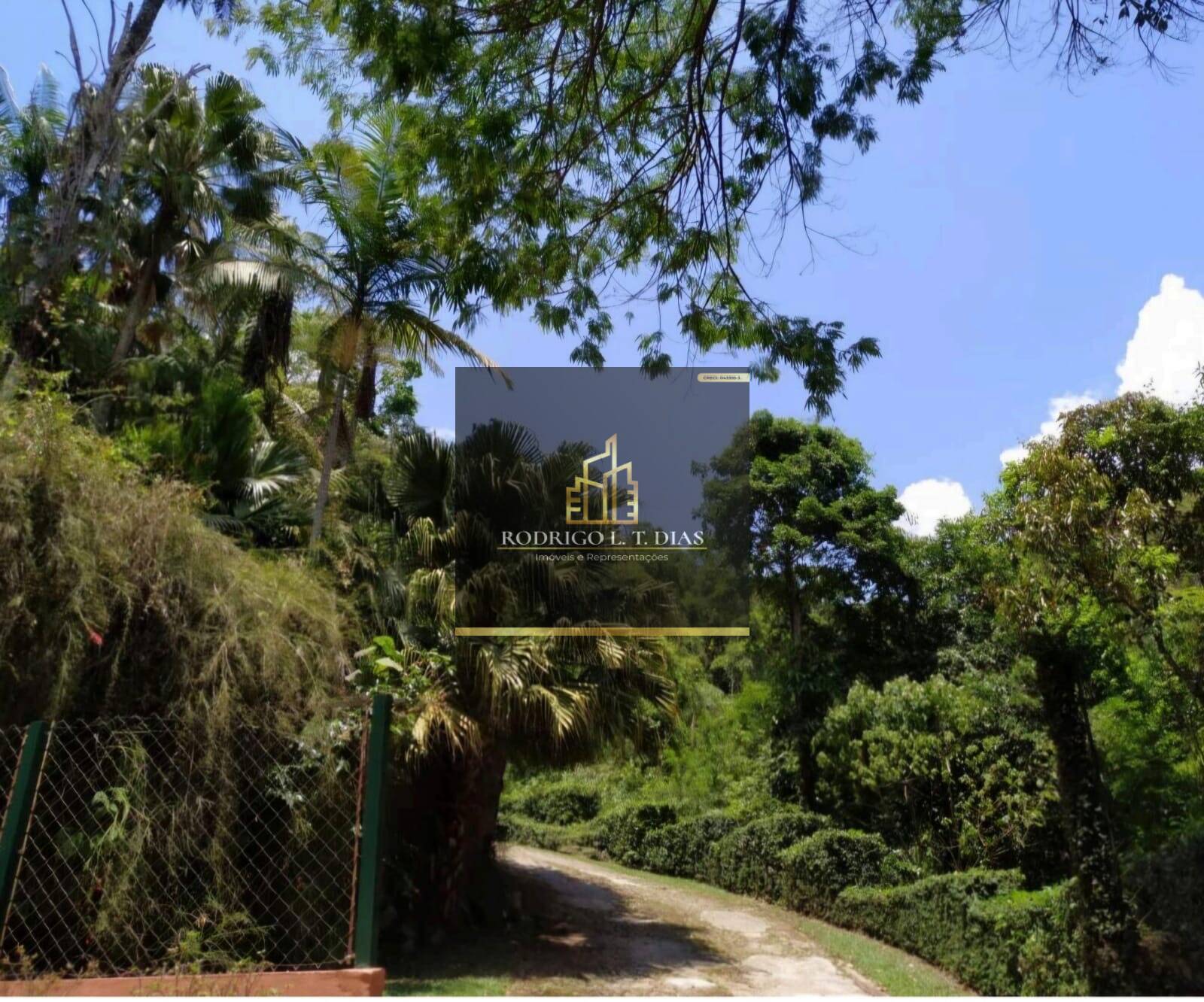 Sítio, 3 quartos, 5000 m² - Foto 41