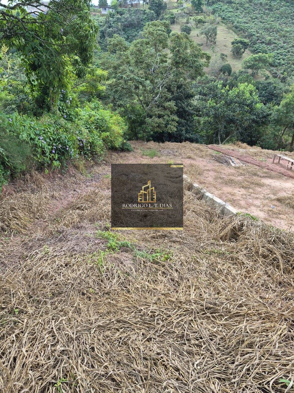Terreno, 1194 m² - Foto 8